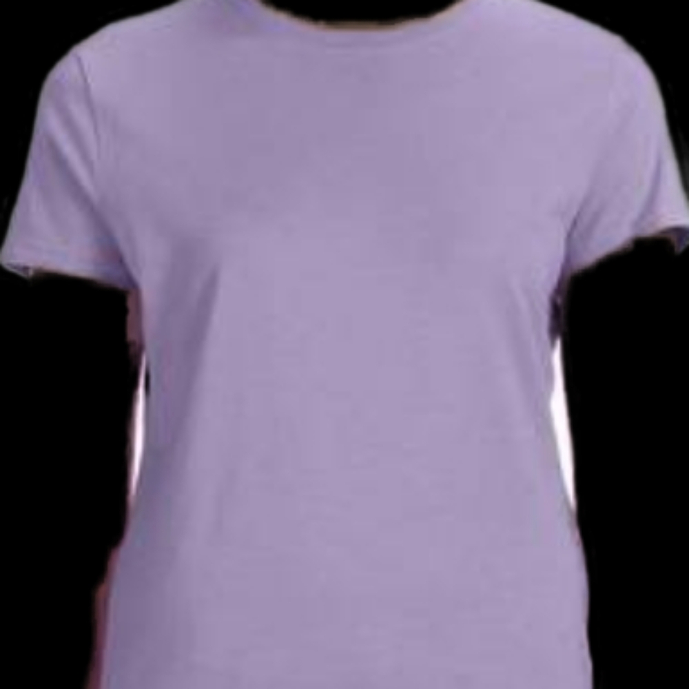 10 brand new lavender hanes shirts